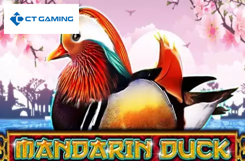 Mandarin Duck